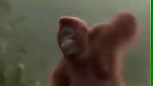 Самая смешная песня