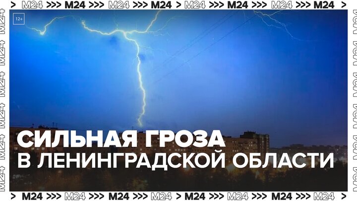 Сильная гроза накрыла Ленинградскую область - Москва 24