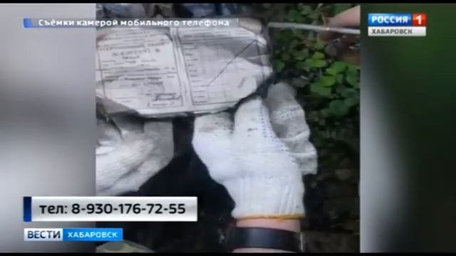 Поисковики нашли сбитый самолет