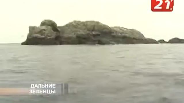 Дальние Зеленцы. Путешествие к заповедным островам