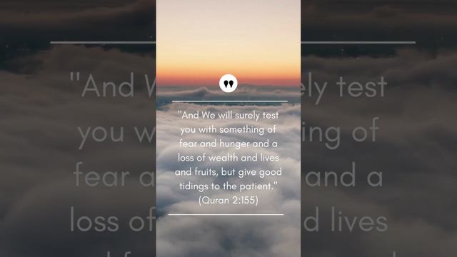 Inspirational Surahs and Ayahs - Quran: 2,155