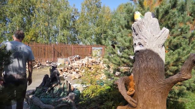 Обзор сада в деревенском стиле. Ландшафтный дизайн участка на 12 сотках.