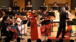 Elgar Concerto 1st movement, Viola transcription. Wenting Kang, Viola