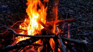 ФУТАЖ ОГОНЬ ГОРИТ , ПЛАМЯ , КОСТЕР, ДРОВА ГОРЯТ,
