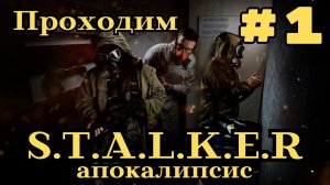 Уютный ламповый стрим. S.T.A.L.K.E.R Апокалипсис. Всем фанатам посвящается)