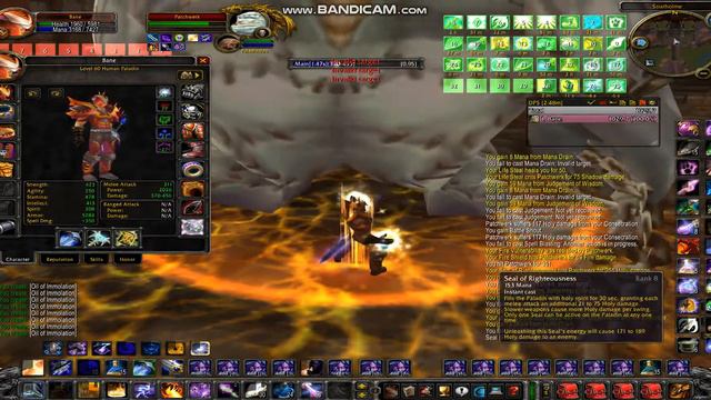 MANA TEST - 5mins15 sec Rank 5 Consecration Paladin Pre BC - 1000 DPS (No CoE/CoS 970 DPS via end) смотреть онлайн