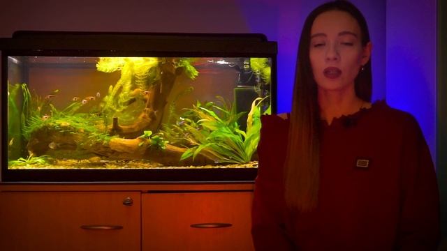 Как назвать ребенка? Как выбрать имя для малыша? Самые популярные и самые редкие имена 2019 года смотреть онлайн