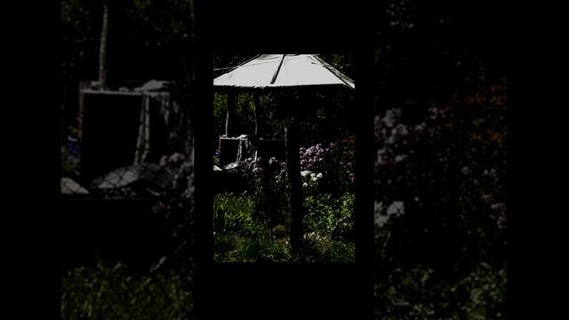 Вечер. Деревня. Звуки природы