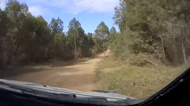 Day 1 - Rally Australia 2016 - L. Bertelli / S. Scattolin - Ford Fiesta WRC смотреть онлайн