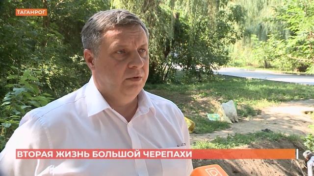 Таганрогской реке Большая черепаха дают вторую жизнь смотреть онлайн