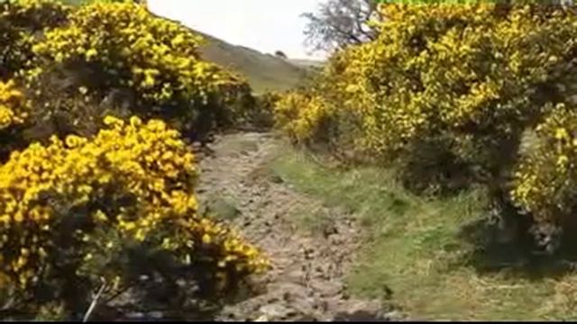 Just Yellow смотреть онлайн