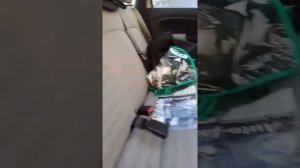 Фиат линея, установить чехлы в салоне.