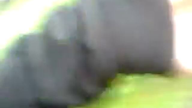 День города) Зленодольск смотреть онлайн