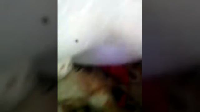 У меня 3 животных ? Куки ? Я плагиат?(( смотреть онлайн