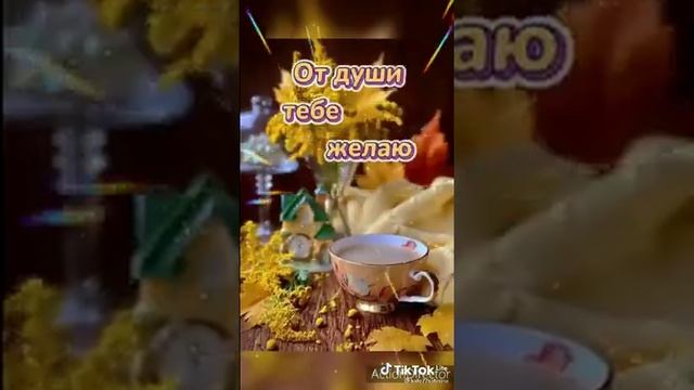 8 ноября 2021 г. смотреть онлайн