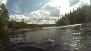 Сплав. Река Писта.