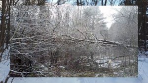 Деревья падают на оптический кабель.