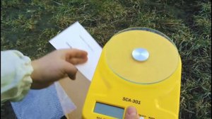 Пчеловодство Весы sca 301 для пасеки