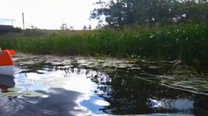 Сплав на каноэ оз.Сапшо-р.Сопша-оз.Петраковское.