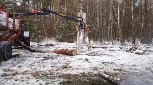 мтз погрузка леса #мтз #вайнер