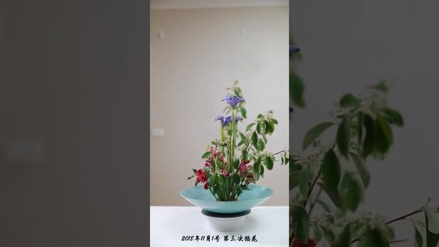 第三次接触moribana смотреть онлайн