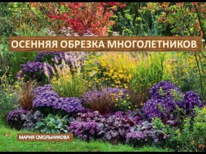 Осенняя обрезка многолетников. Что обрезаем,а что нет !