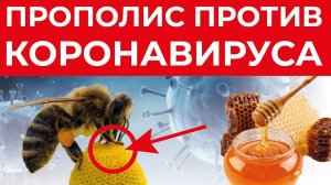 ПРОПОЛИС против КОРОНАВИРУСА