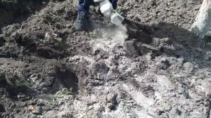 Доломитовая мука- подкормка черешни весной