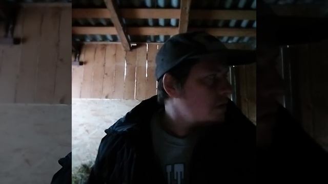 31 января. душеспасительное видео.Евангелие в простоте. Иисус исцеляет и в наши дни смотреть онлайн