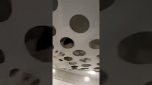 КОШКА ЗАЛЕЗЛА НА НАТЯЖНОЙ ПОТОЛОК