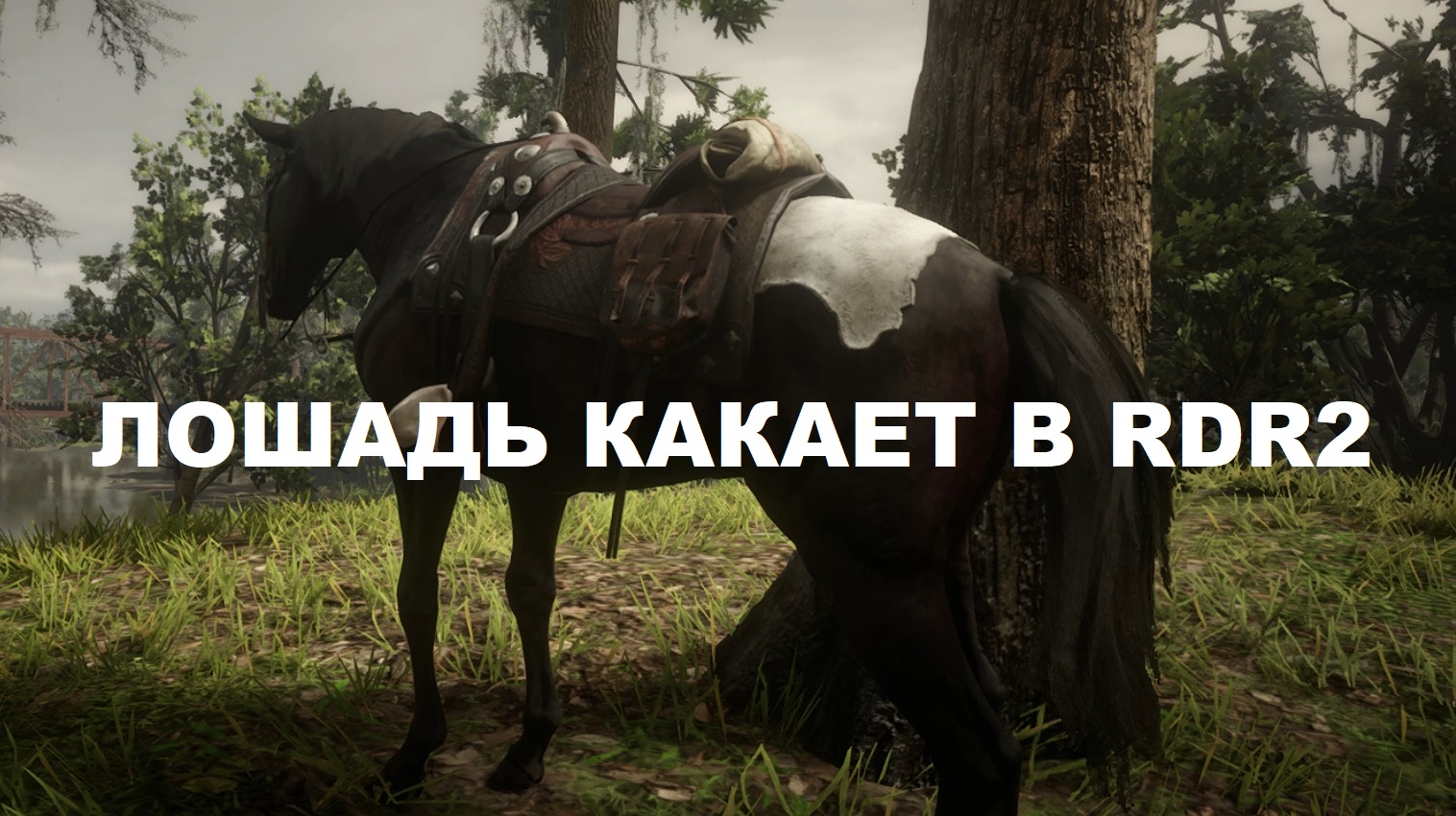 Лошадь какает в RDR2!