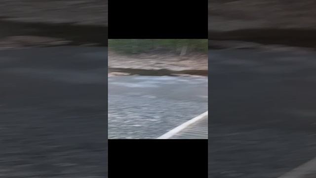 Айгир совсем обмелел смотреть онлайн