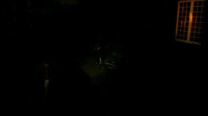 Отдать щелкунчик Уэйку! Прохождение Alan Wake 2