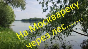 От Бояркино до Москвареки . Минипоход через лес. Архив. 26.05.2023г