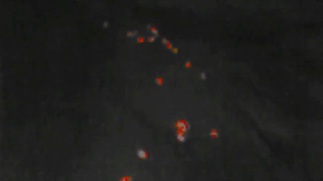 Retirment of the DJI Mavic 2 Enterprise Dual, Fly with Mike смотреть онлайн