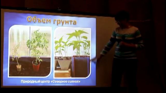 Природное земледелие  - Томаты