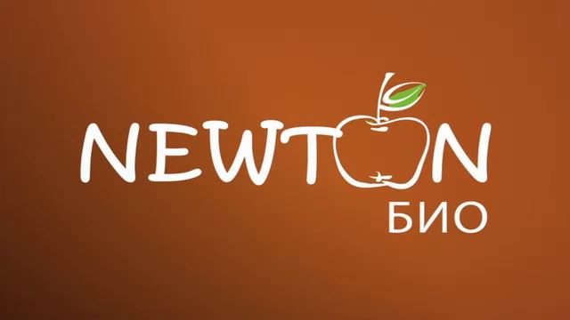 Парк научных развлечений Newton — видеоролик для led экрана