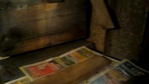 Как зимуют пчёлы в подвале.