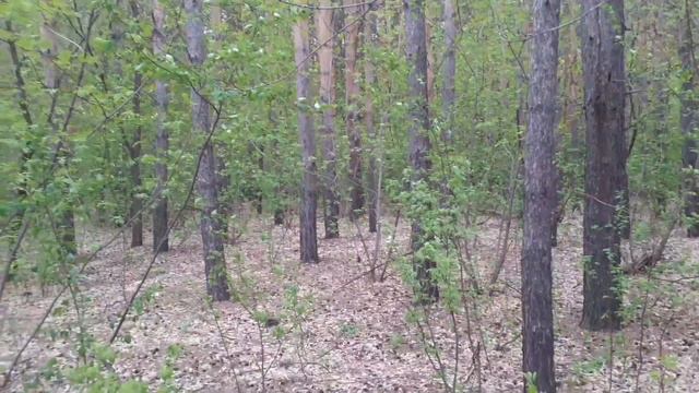 Неожиданно, но факт. История из жизни, рассказанная у костра в тайге. Рассказывает Евгений Бовкун. смотреть онлайн