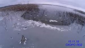 ЛОВЛЯ РАКОВ РУКАМИ ОЗЕРО ЛОСВИДО (РАКИ) ВИТЕБСК.Catching crayfish with my hands.mp4