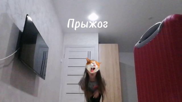 Кваадробика💫🍃