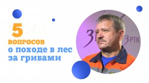 5 вопросов о том, как надо и не надо ходить в лес за грибами