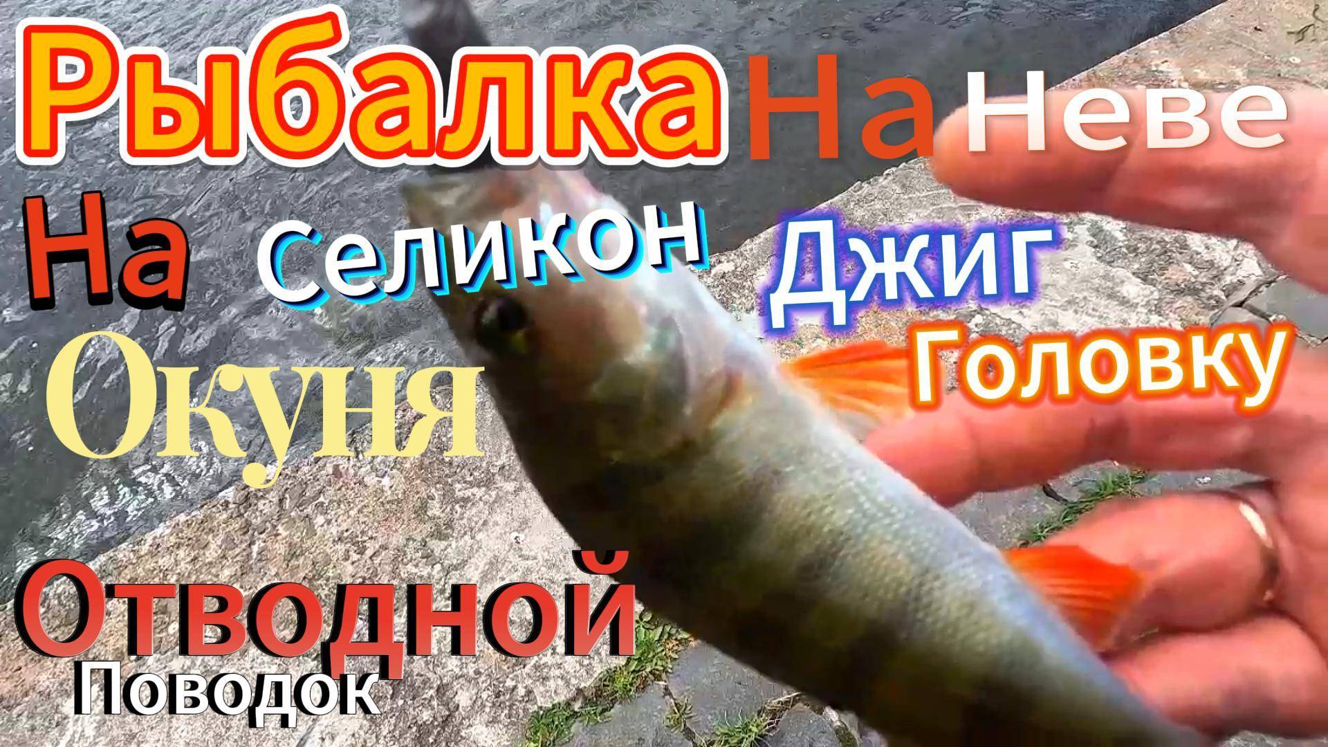 Ловим ОКУНЯ На Резину На Отводной Джиг Головка-Ловим ОКУНЯ На Резину На Отводной Джиг Головка