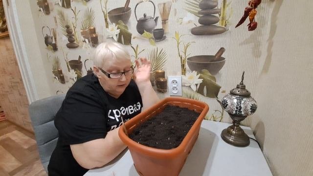 РЕШИЛА РИСКНУТЬ И УСТРОИТЬ ОГОРОД НА ПОДОКОННИКЕ