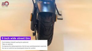 “MINIMOTORS DUALTRON DOLPHIN” electric scooters