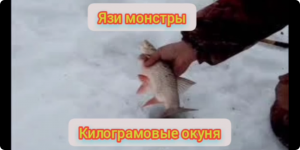 рыбалка на озере чаны , килограммовые язи и окунь