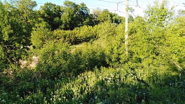 Молитва Роду для укрепления силы Духа?