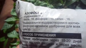 ПОДКОРКА РАССАДЫ ПЕРЦА. КАКИЕ УДОБРЕНИЯ ВЫБРАТЬ? Ольга Чернова.