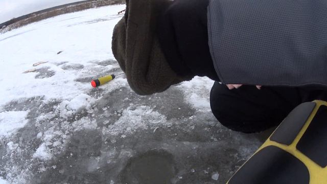 Ловлю плотву и окуня на Томи, в Старочервово.
