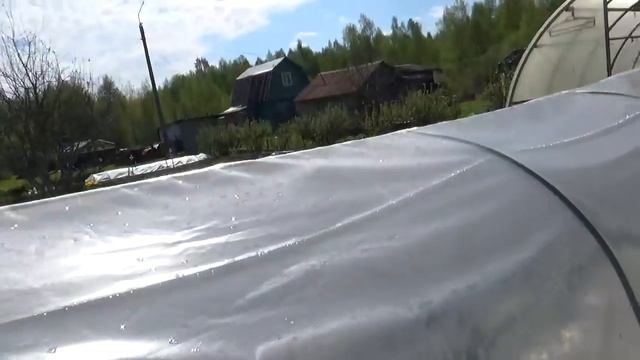 Май 2017г, посадка баклажанов в открытый грунт. смотреть онлайн